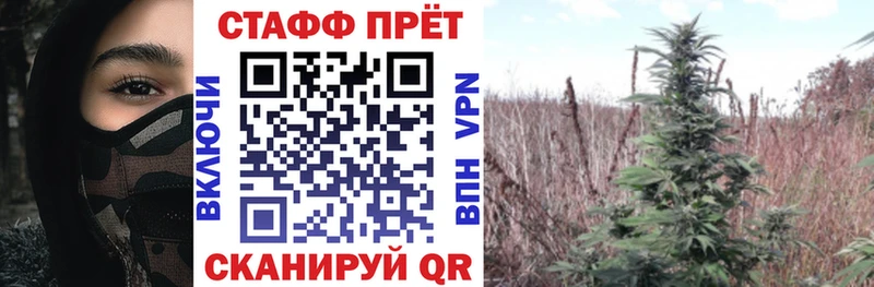 Какие есть наркотики Закаменск Амфетамин  Меф  Кокаин  ГАШ  Конопля 