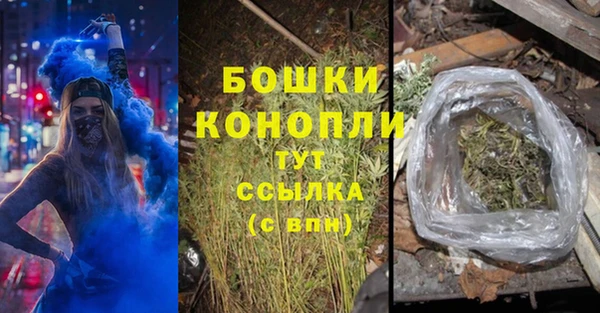 тгк Арсеньев