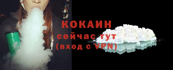 тгк Арсеньев