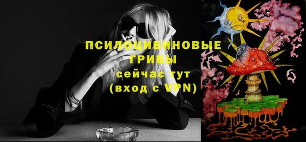круглые Аркадак