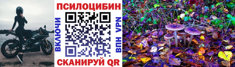 Галлюциногенные грибы Magic Shrooms МЕГА онион Закаменск
